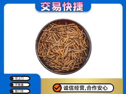 吉安回收散虫草